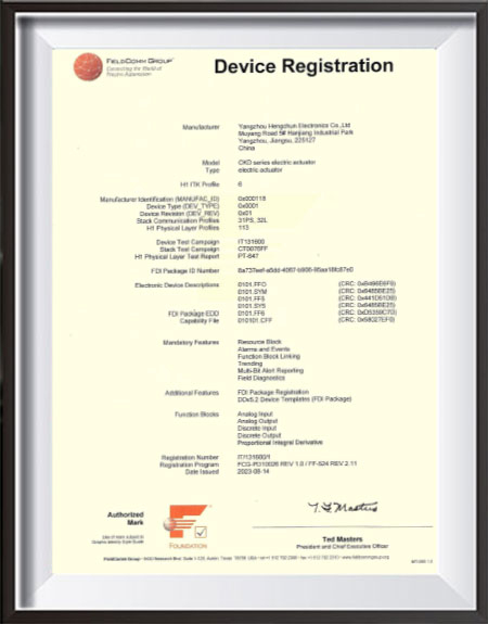 Certificado DP